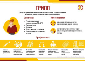 Профилактика гриппа - вакцинация! Профилактика гриппа - вакцинация!.